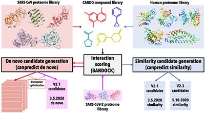 Optimal COVID-19 therapeutic candidate discovery using the CANDO platform